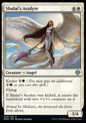 Shalai's Acolyte (Dominaria United)