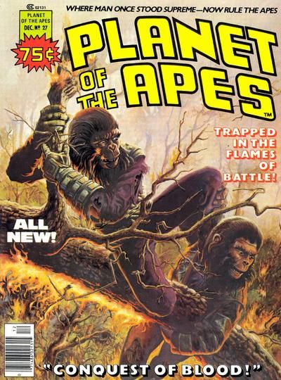 Planet of the Apes #27 Comic