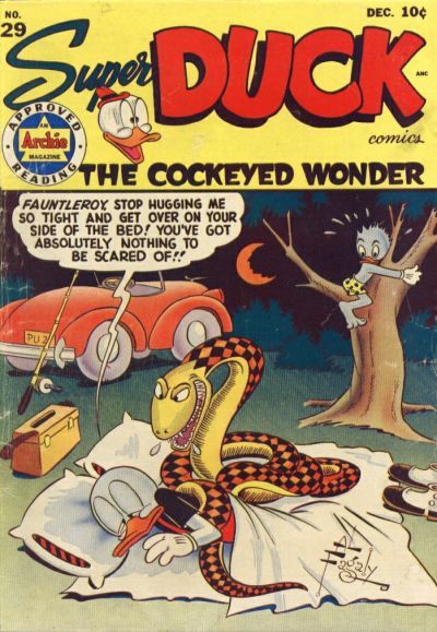 Super Duck Comics #29 Comic
