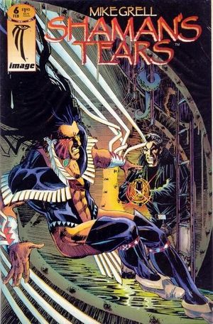 Image Comics Mint Unread Free Bag And Board 1993 Shaman's Tears #1 Foil Cover