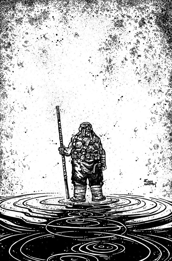 TEENAGE MUTANT NINJA TURTLES #150... Post Image