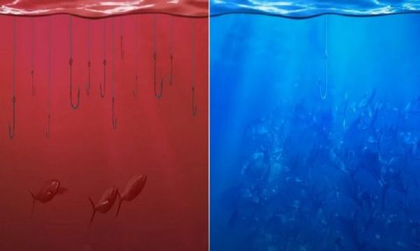 Blue Ocean Books Post Image