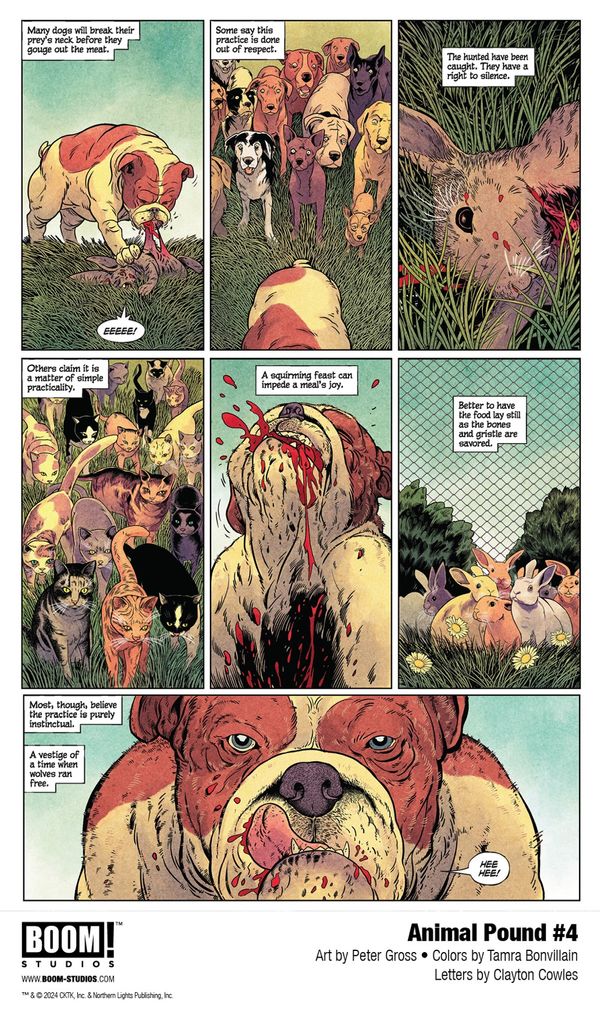 First Look at ANIMAL POUND... Post Image