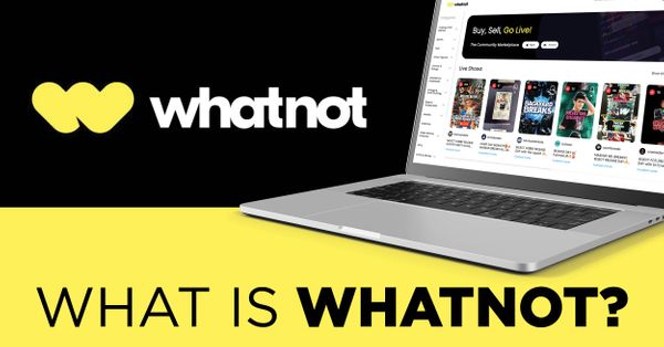 What is Whatnot? Post Image