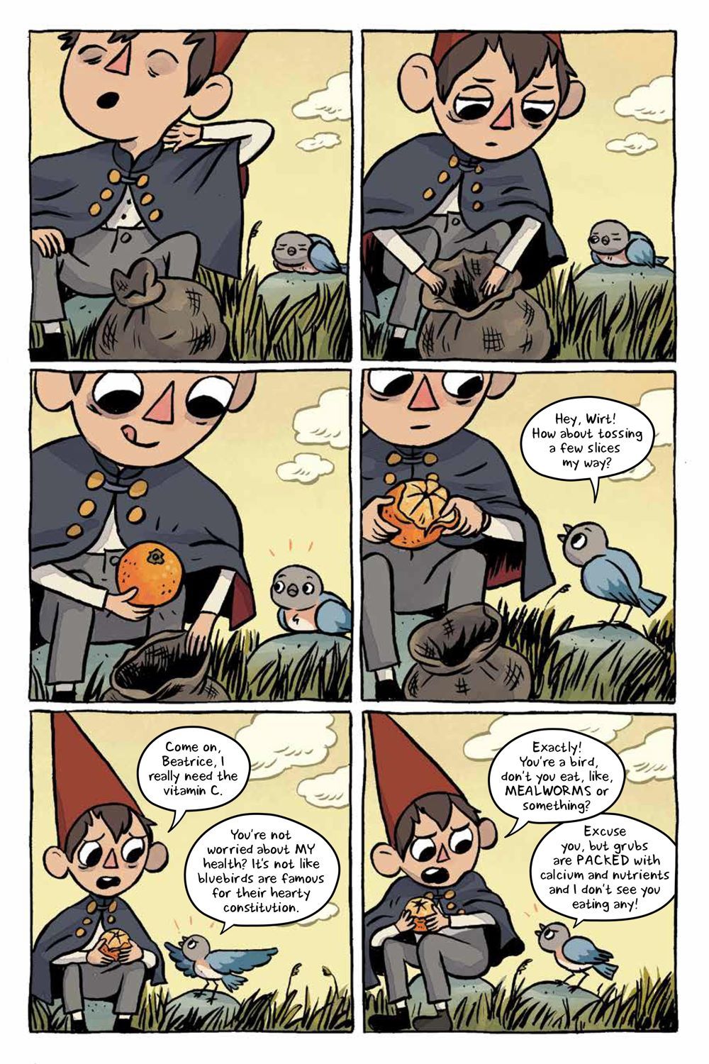 Over The Garden Wall Benevolent Sisters Of Charity GN