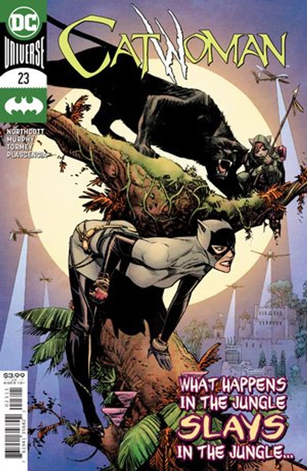The Overlooked Catwoman #23 Post Image