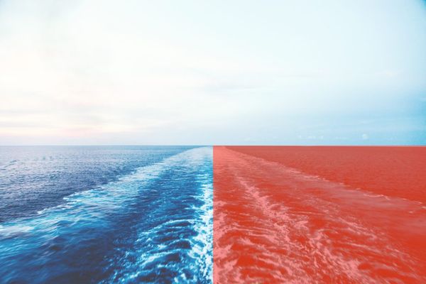 Take a Swim in the... Post Image