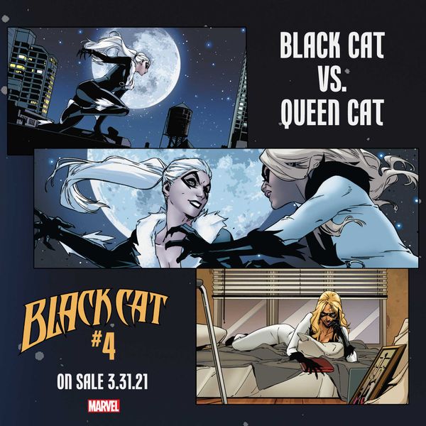 Two cats fight in BLACK... Post Image