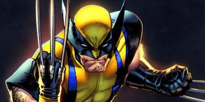 wolverine-investment-pay-off