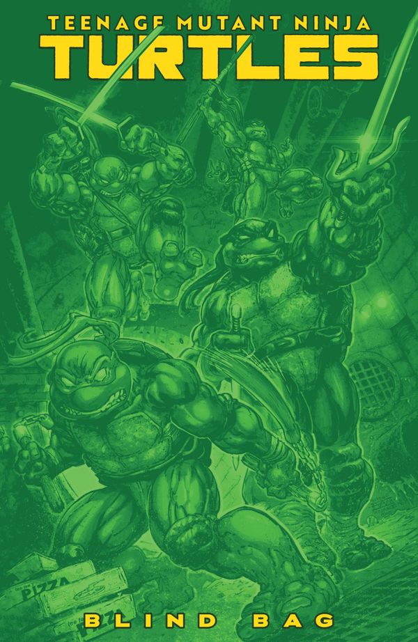 Thirteenth issue of TEENAGE MUTANT... Post Image