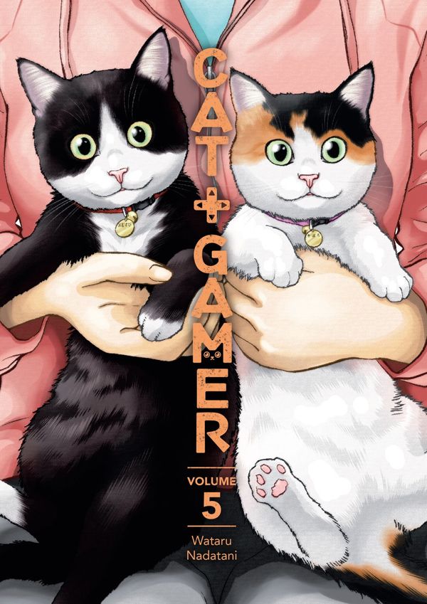 The feline party continues in... Post Image