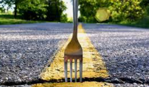 Fork in the Road